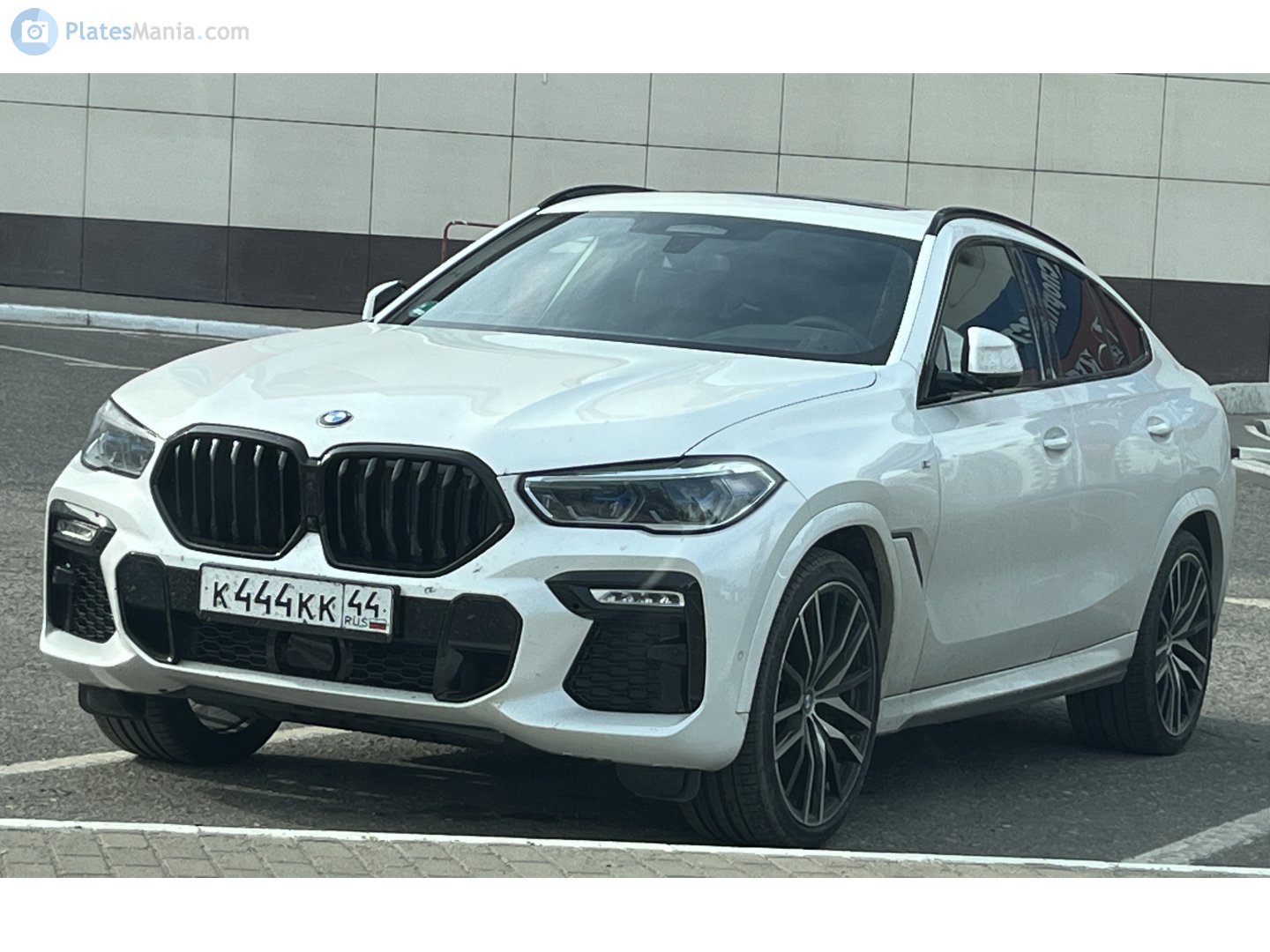 к 444 кк 44, BMW X6 3rd gen (G06), 2019–