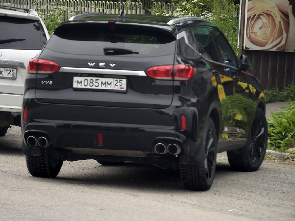 м 085 мм 25, WEY VV6 