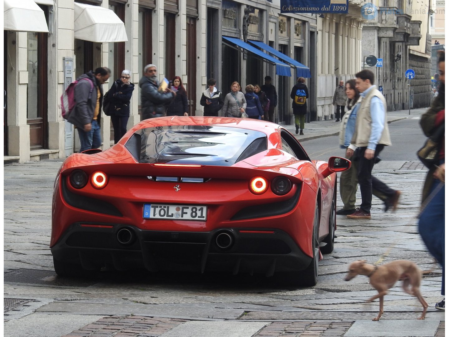 TÖL F 81, Ferrari F8 Tributo (F142), 2019–2023
