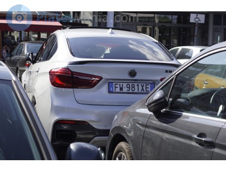 FW 981 XE, BMW X6