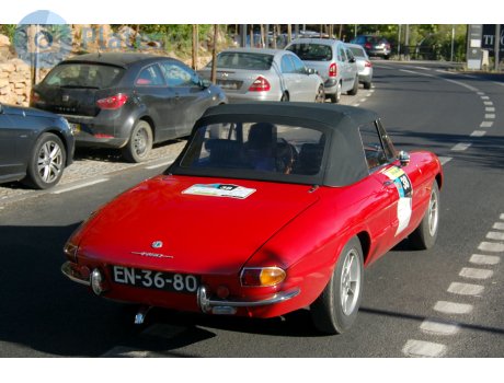 EN-36-80, Alfa Romeo 1750