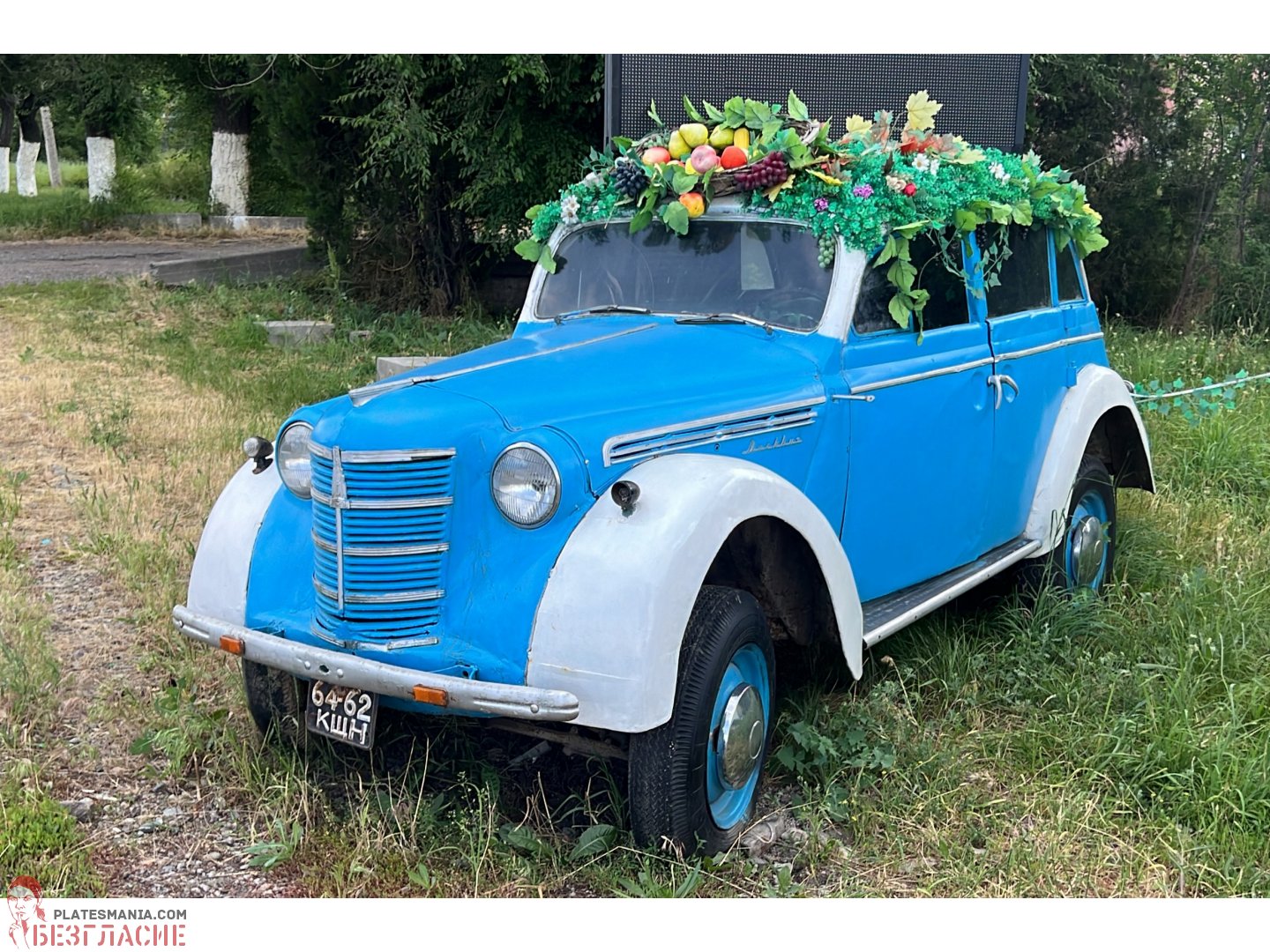 6462 КЩН, License plate without vehicle 