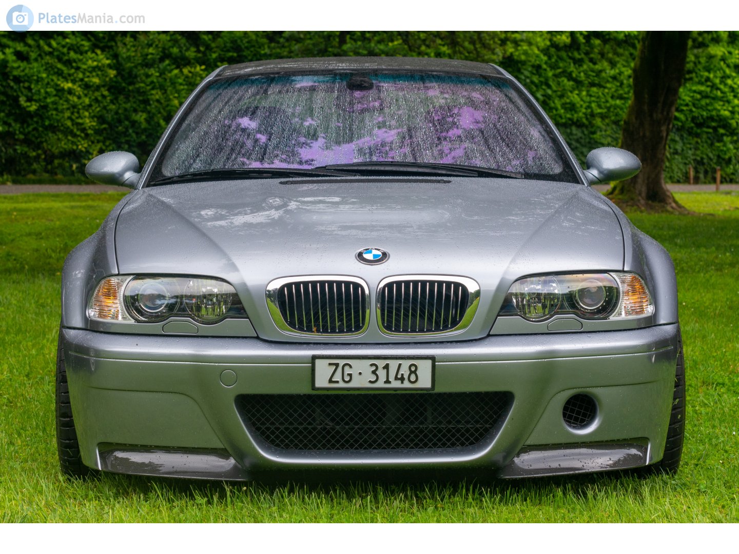 ZG 3148, BMW M3 3rd gen Coupé (E46), 2000–2006