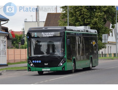 AA E017-6, Belkamunmash E321