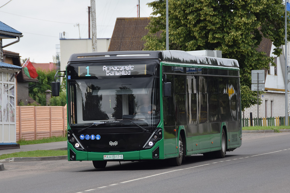 AA E017-6, Belkamunmash E321 