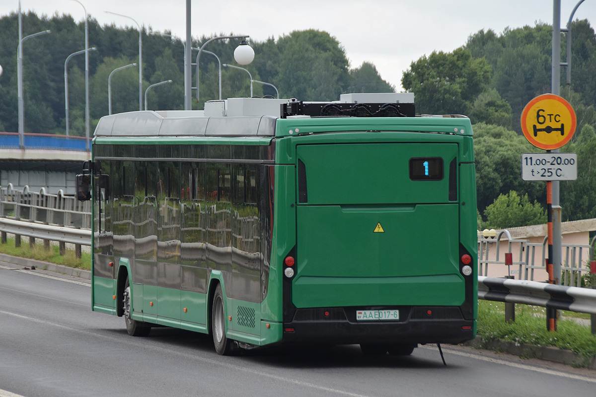 AA E017-6, Belkamunmash E321 