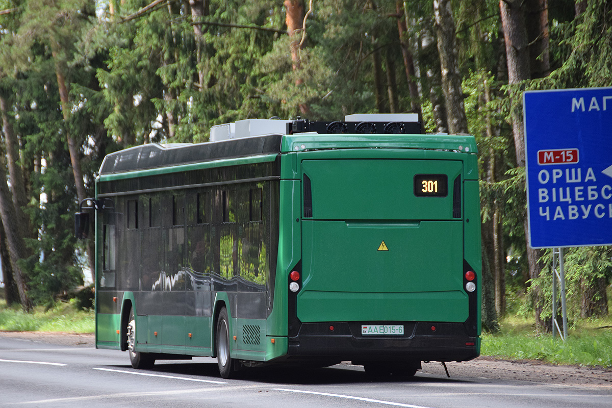 AA E015-6, Belkamunmash E321 