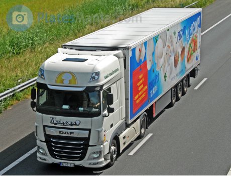 WLS 31136, DAF XF