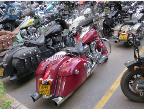 浙B·HB523, Indian Springfield