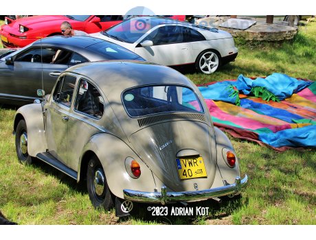 VWR 40, Volkswagen Beetle