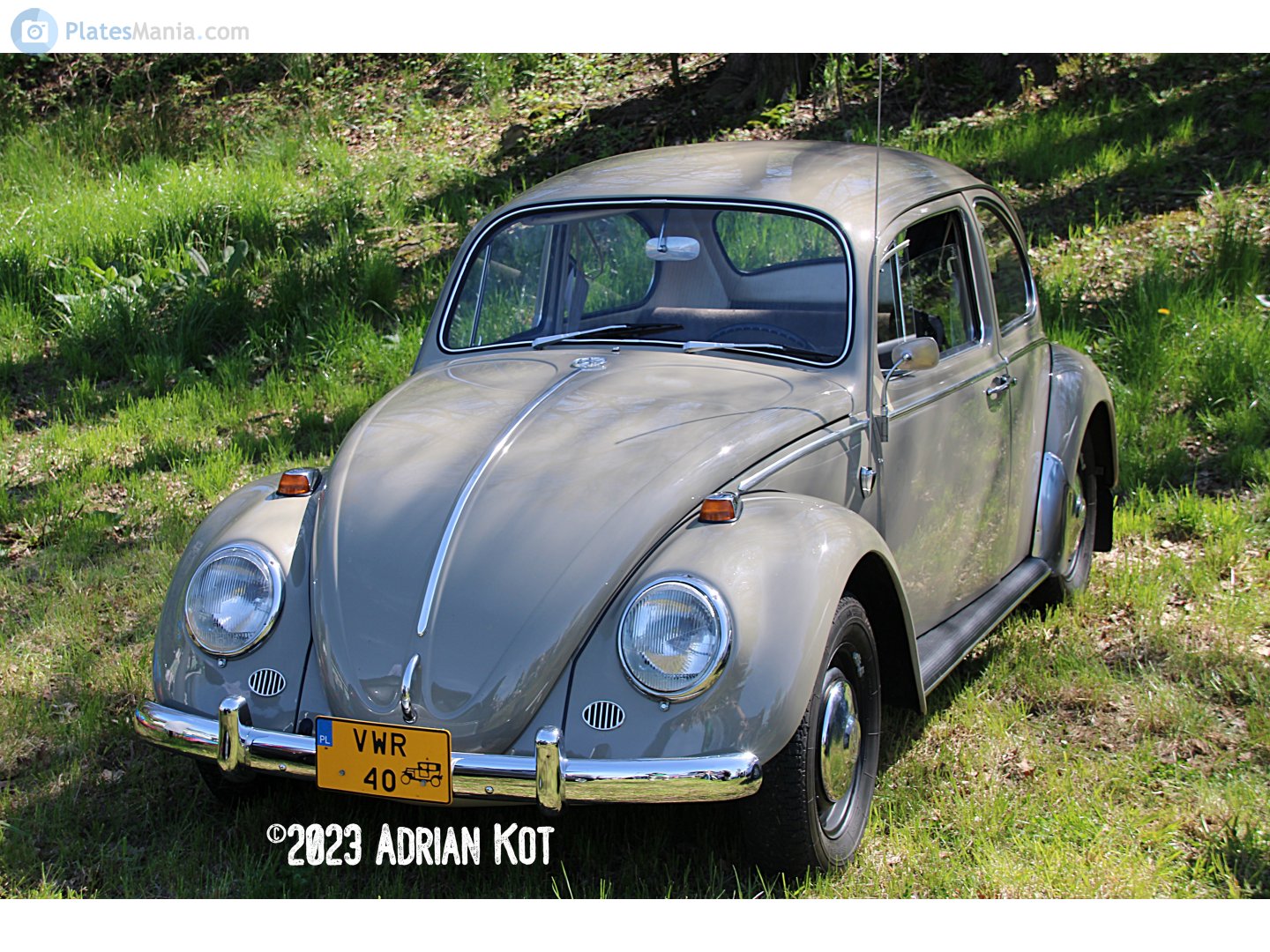 VWR 40, Volkswagen Beetle 1st gen Sedan (Type 1), 1938­–2003