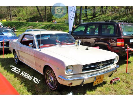 DOL C6, Ford Mustang