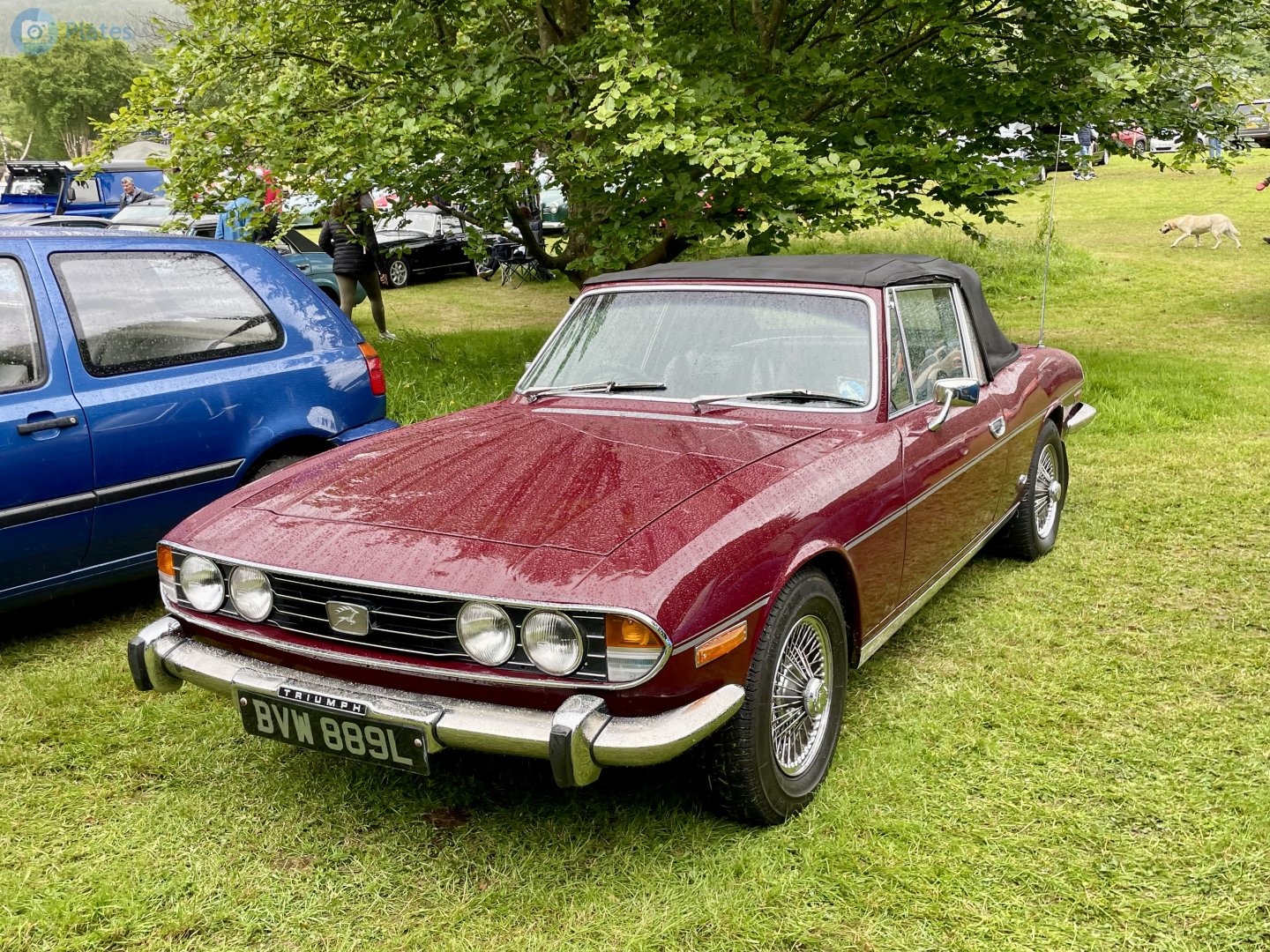 BVW889L, Triumph Stag 
