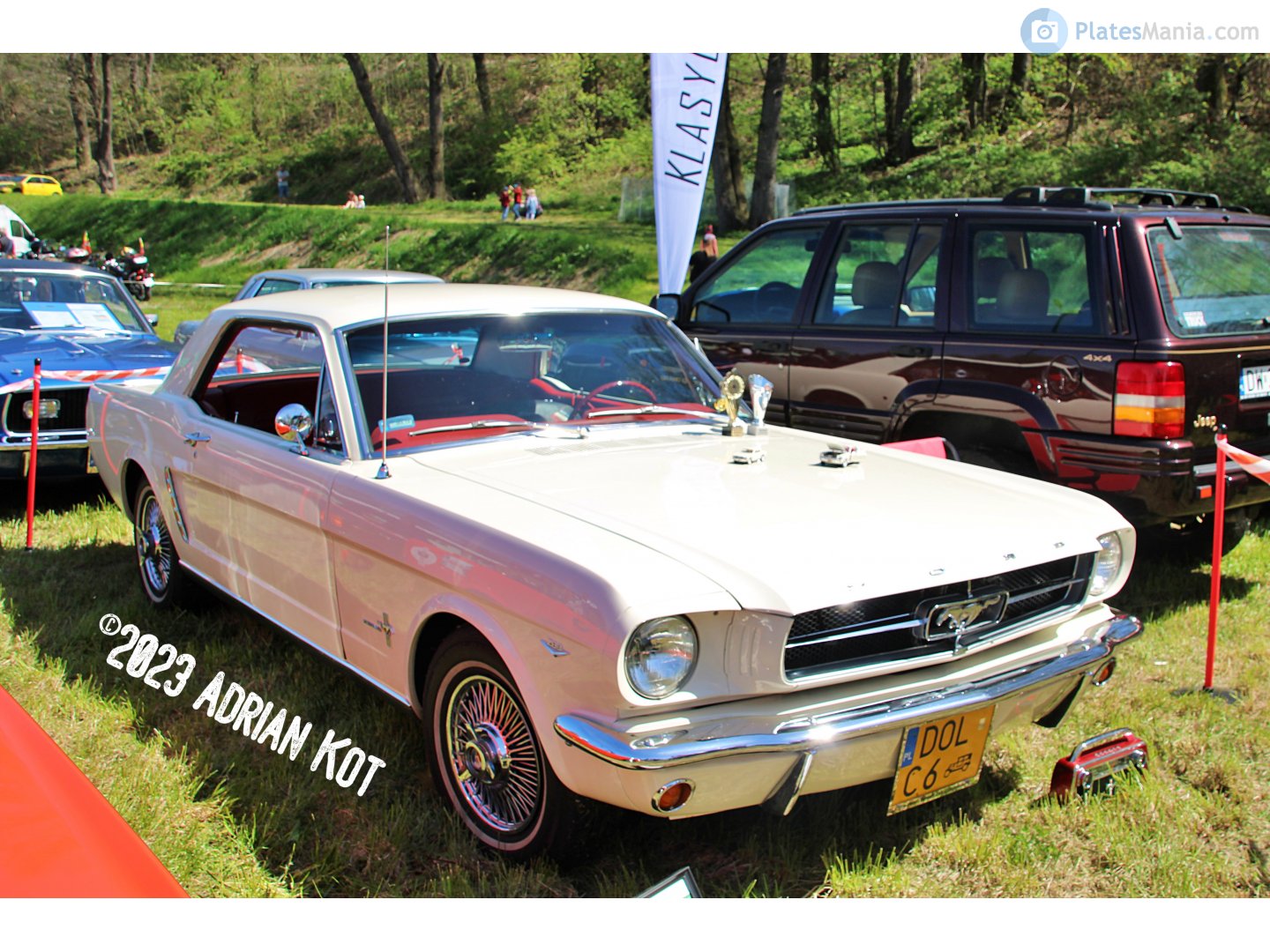 DOL C6, Ford Mustang 1st gen 2-door Hardtop Coupé (65), 1964–1970
