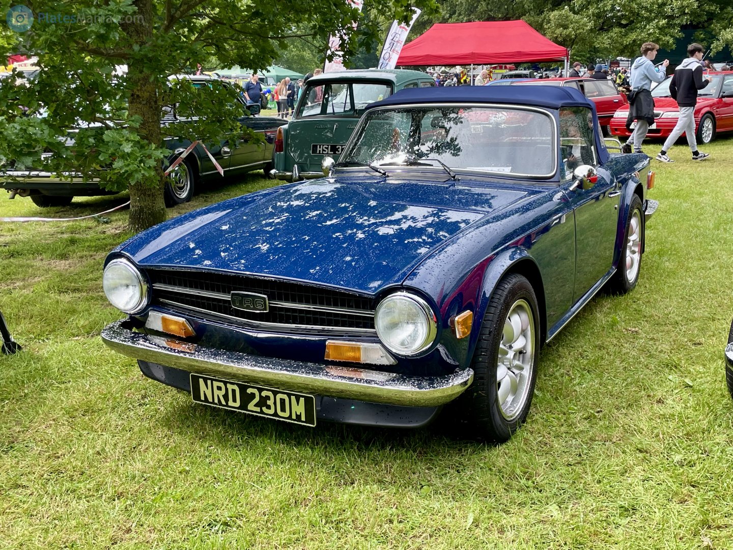 NRD230M, Triumph TR6 