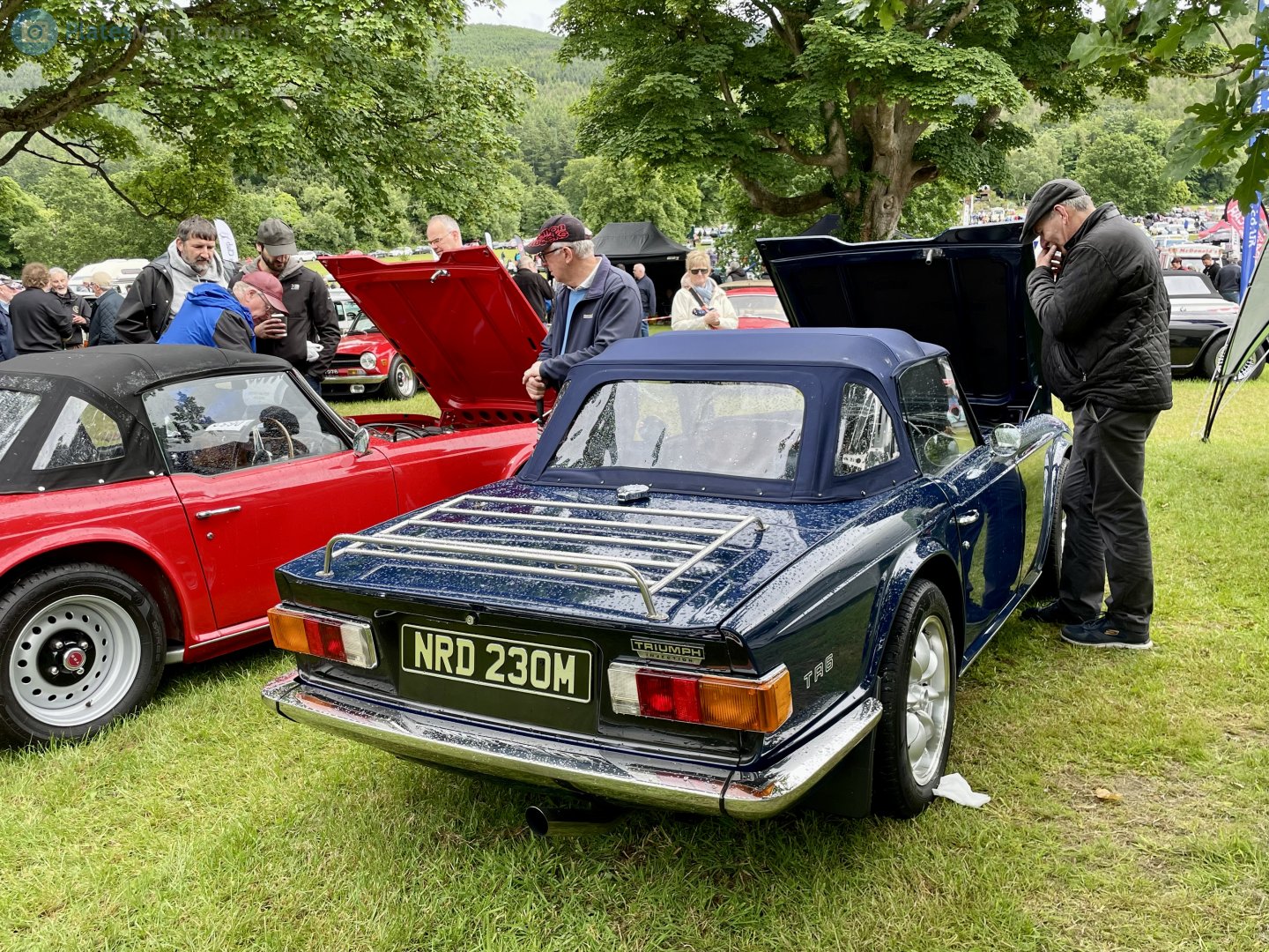 NRD230M, Triumph TR6 