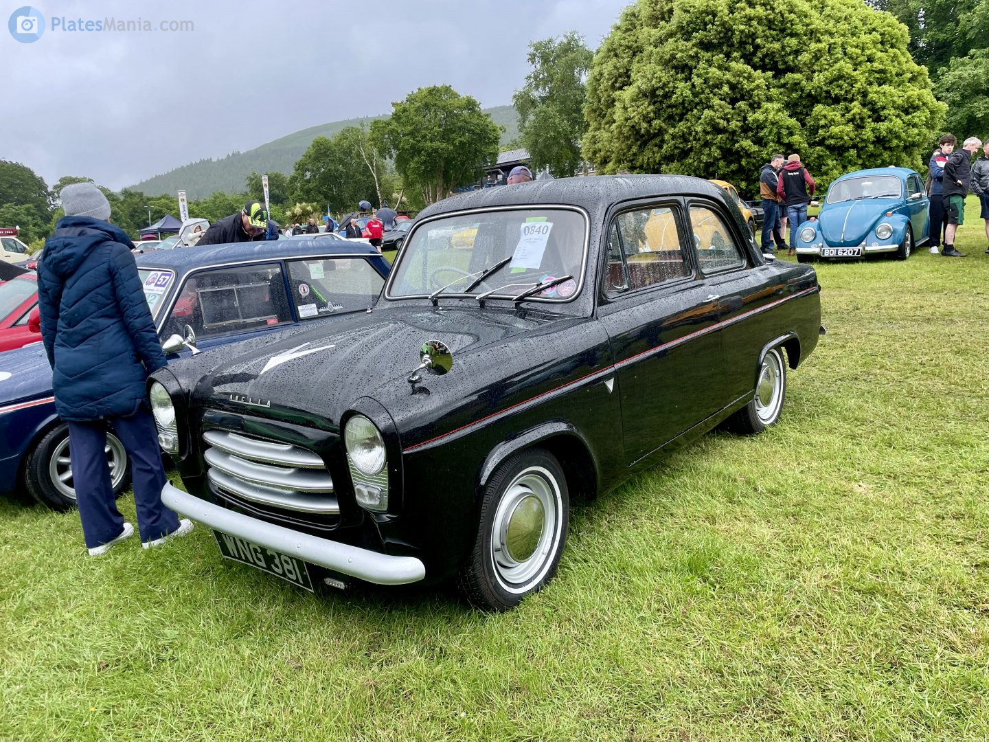 WNG381, Ford Anglia 3rd gen (100E), 1953–1959