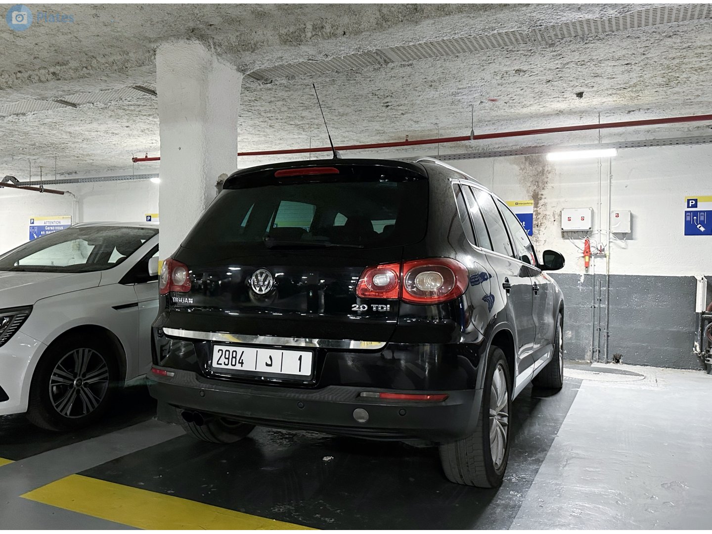 2984|د|1, Volkswagen Tiguan 1st gen (5N), 2007–2011