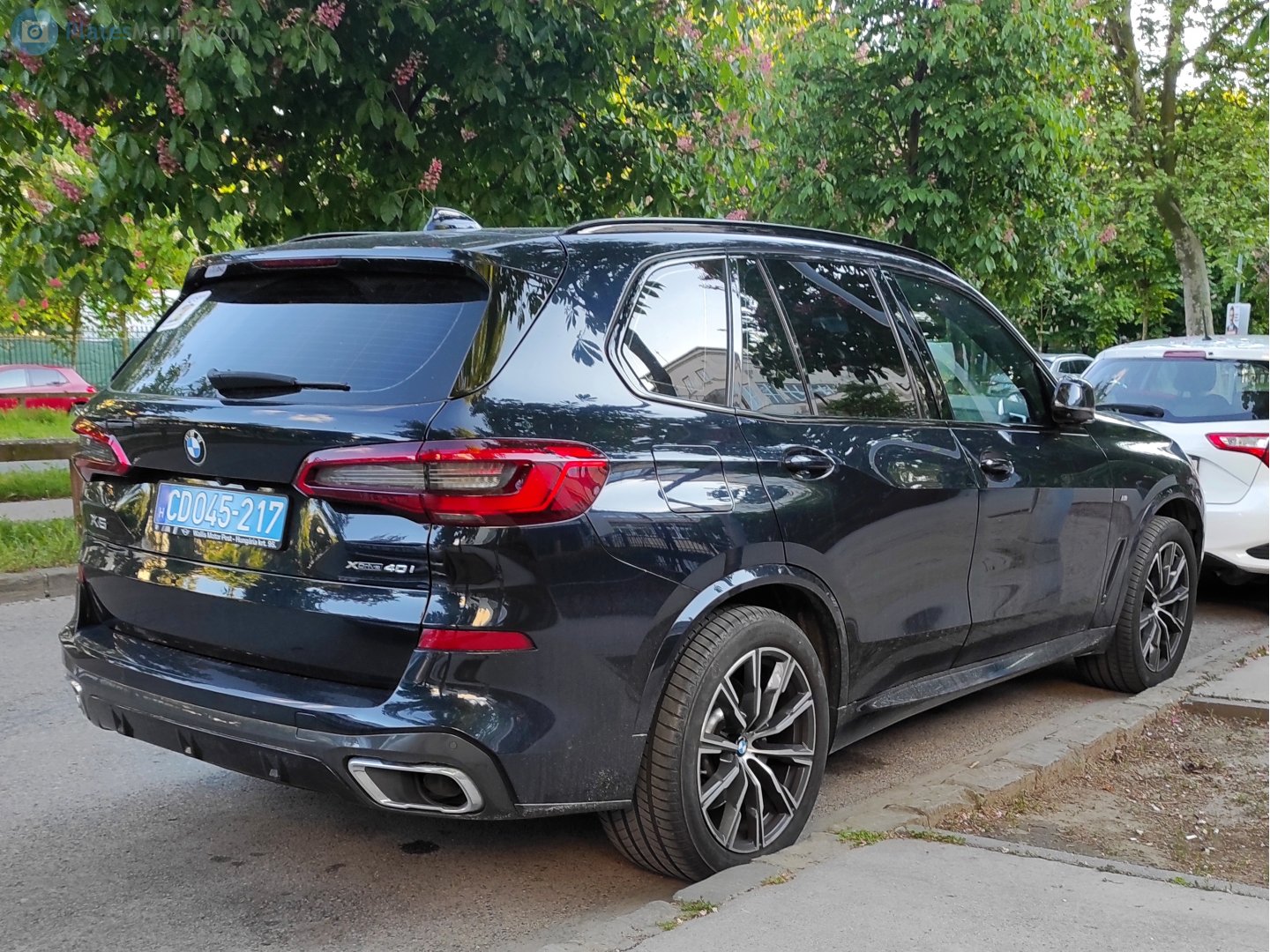 CD045-217, BMW X5 4th gen (G05), 2018–2023