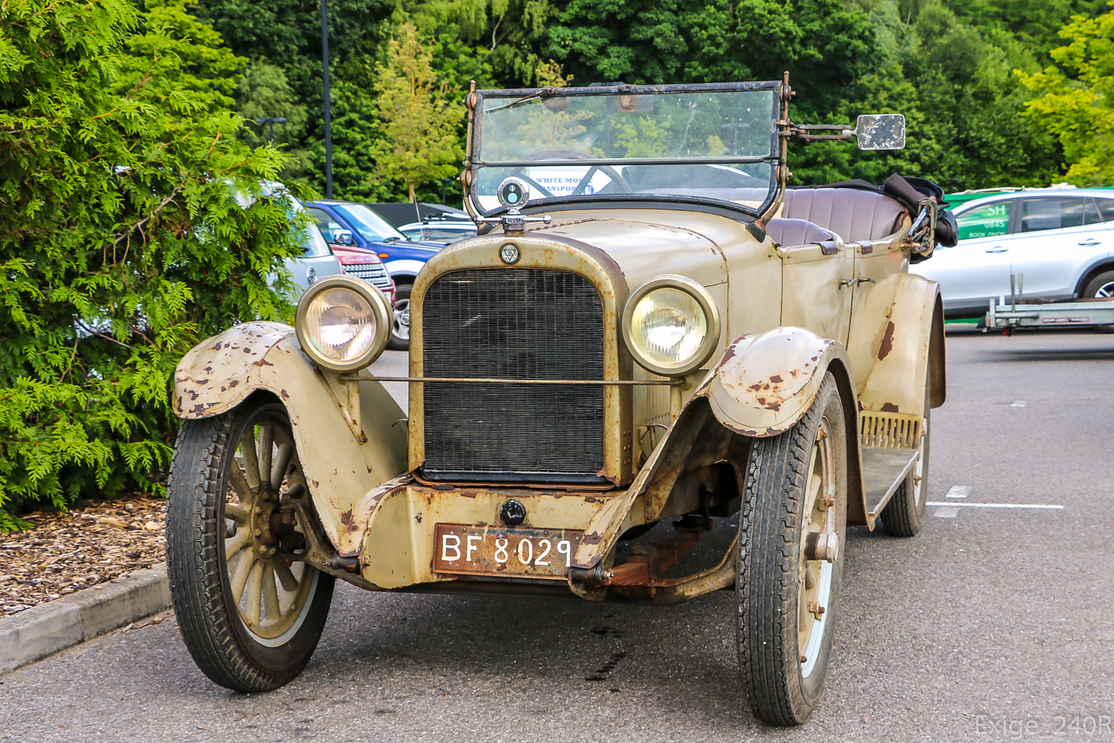 BF8029, Dodge Series 116 