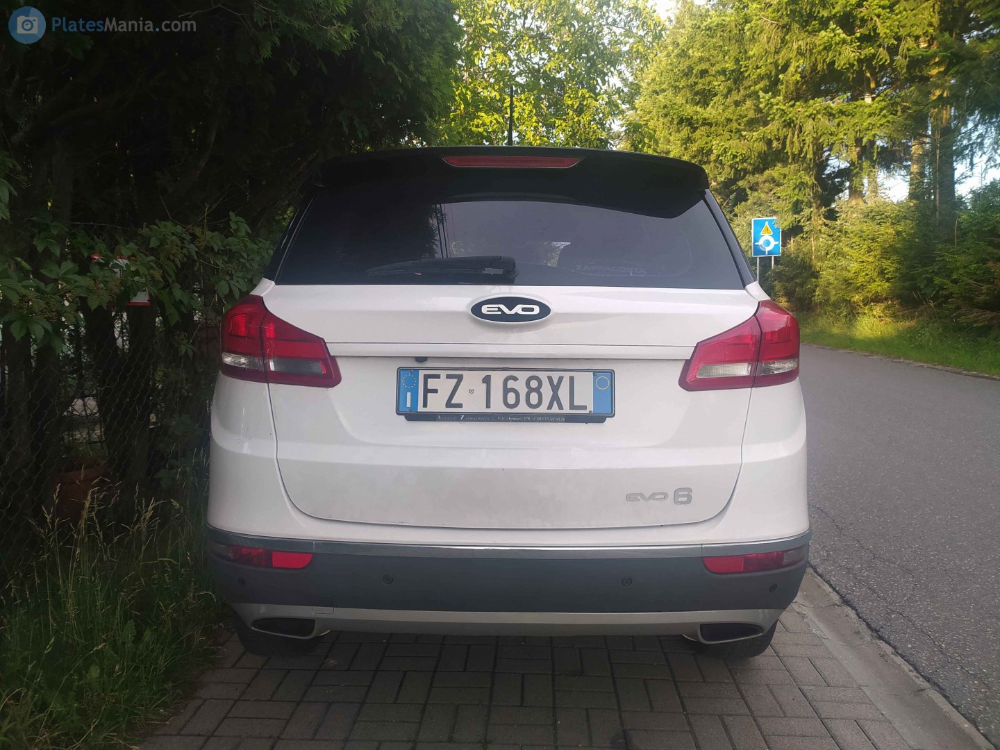 FZ 168 XL, DR Motor DR6 