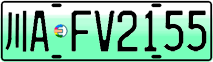License plate of China, Electric vehicles