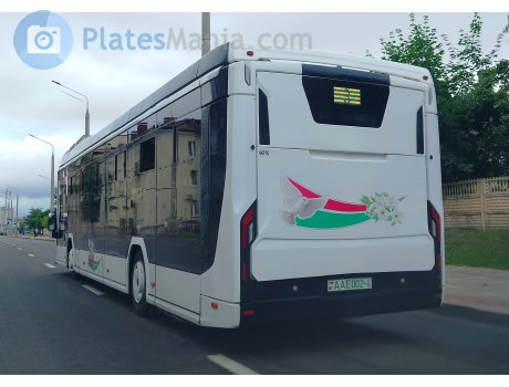 AA E002-4, Belkamunmash E321