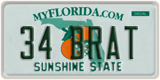 Florida, Vanity Plates