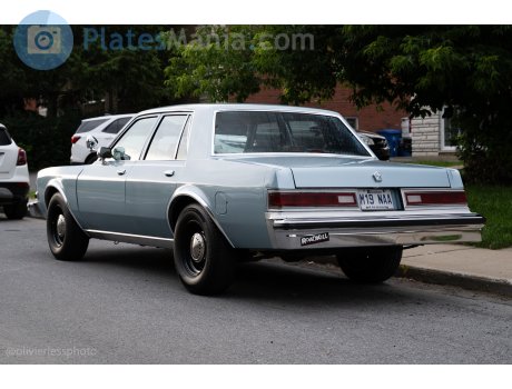 M19 NAA, Dodge Diplomat