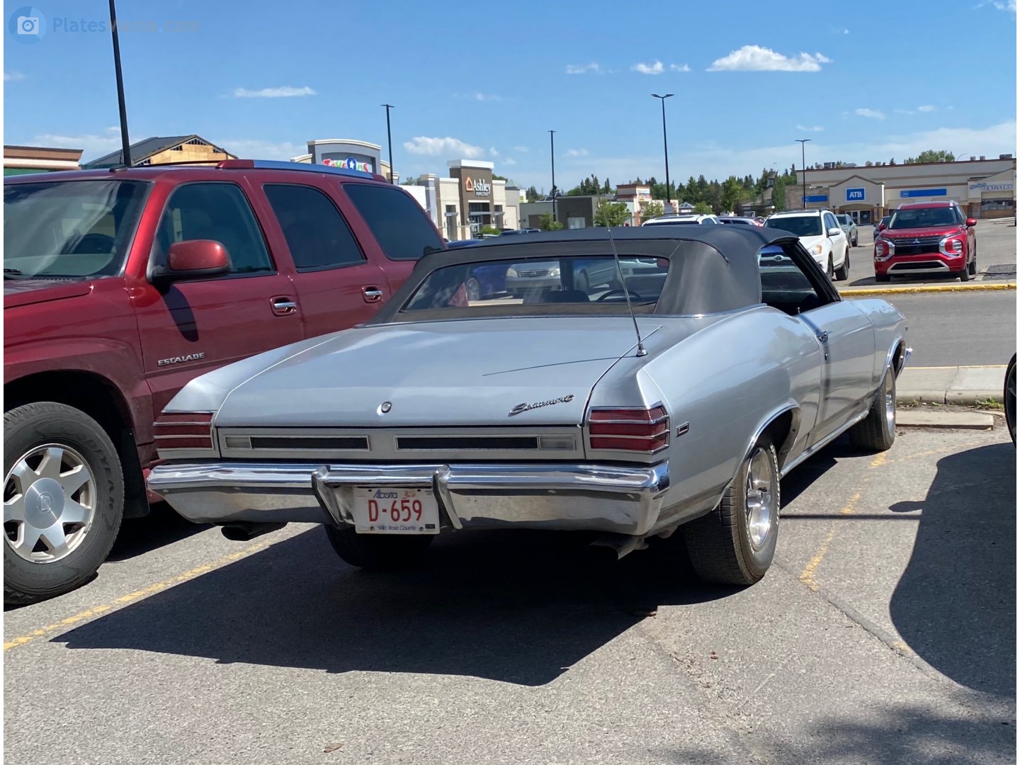 D-659, Beaumont Custom 