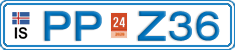PP Z36