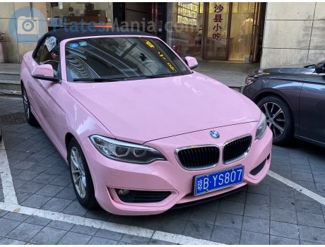 琼B·YS807, BMW 2 Series