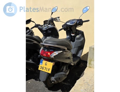 G 3671 F, Yamaha Delight