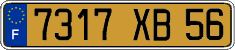 French license plate, FNI