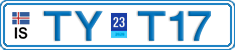 TY T17
