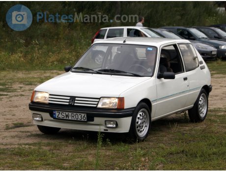 ZSW R036, Peugeot 205