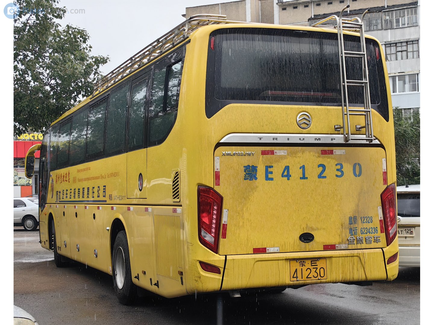 蒙E·41230, Golden Dragon XML6122 