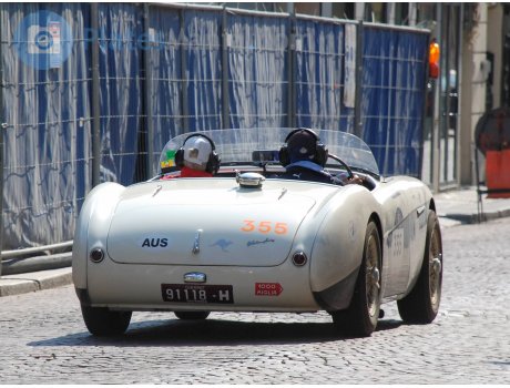 91118-H, Austin-Healey 100/3000