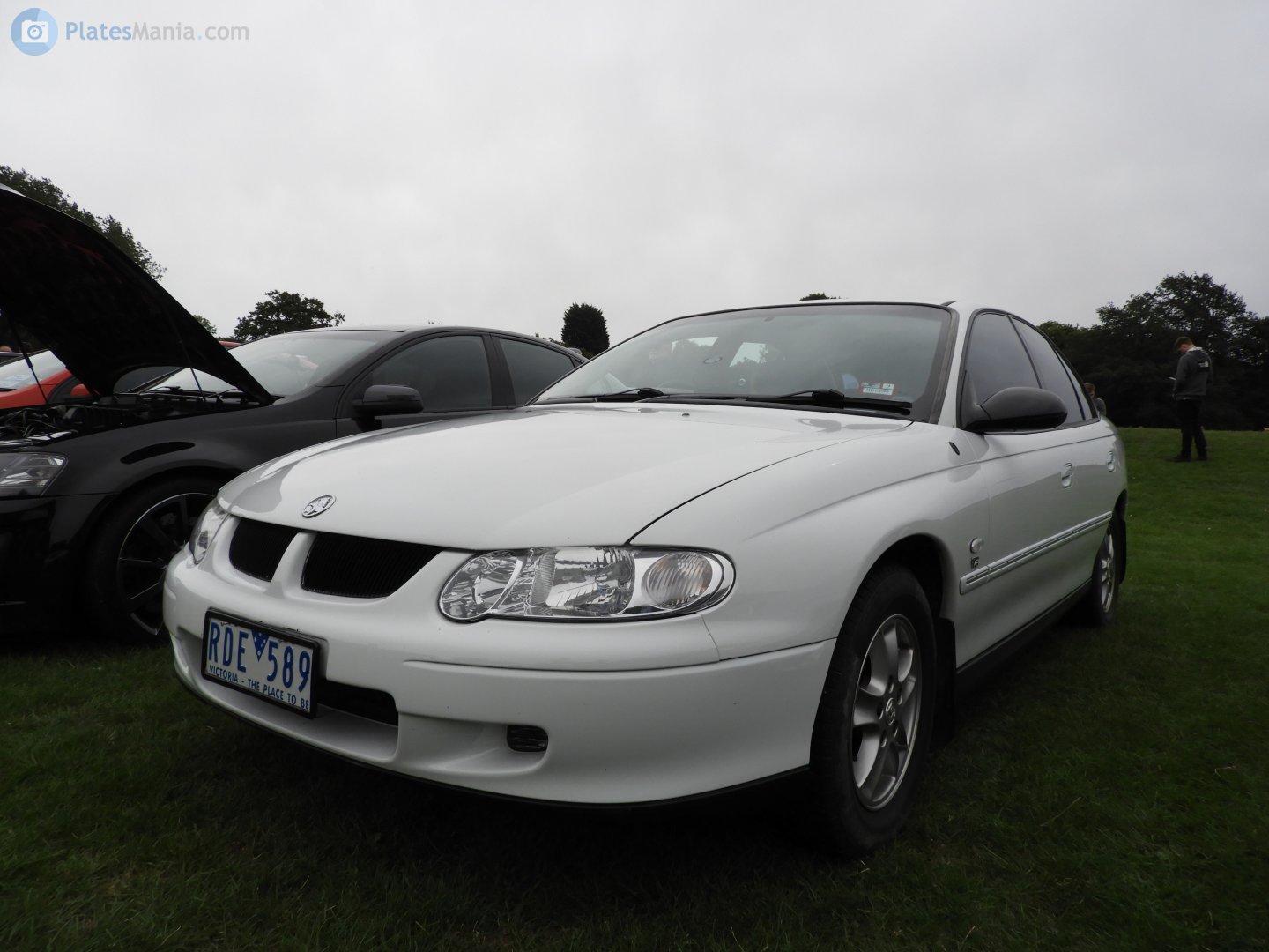 RDE-589, Holden Commodore 3rd gen Sedan (VT/VX), 1997–2002