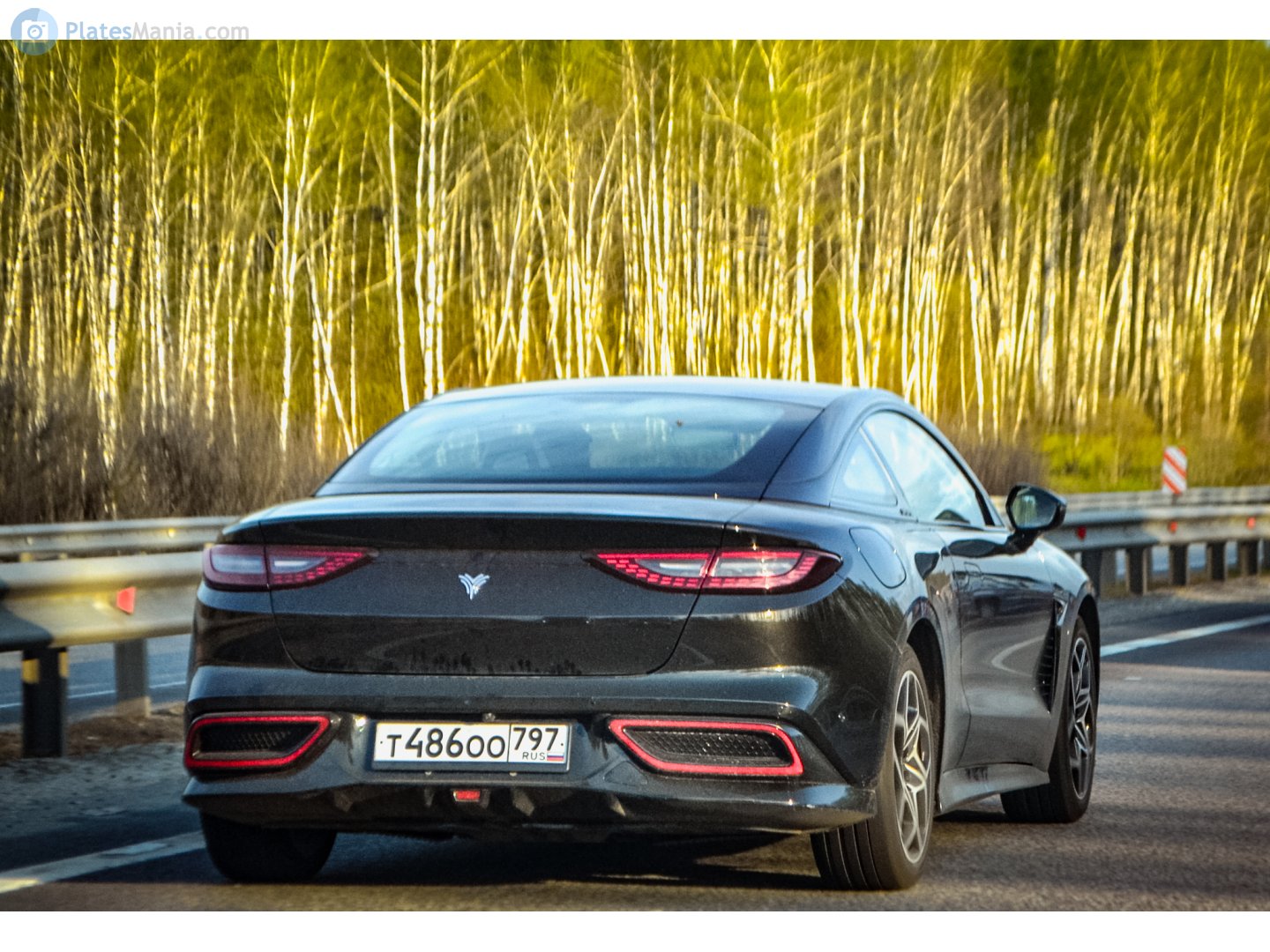 т 486 оо 797, Neta GT 