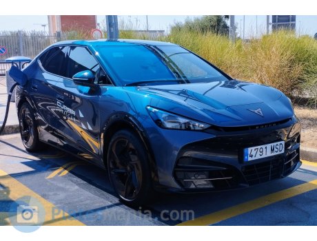 4791 MSD, Cupra Tavascan