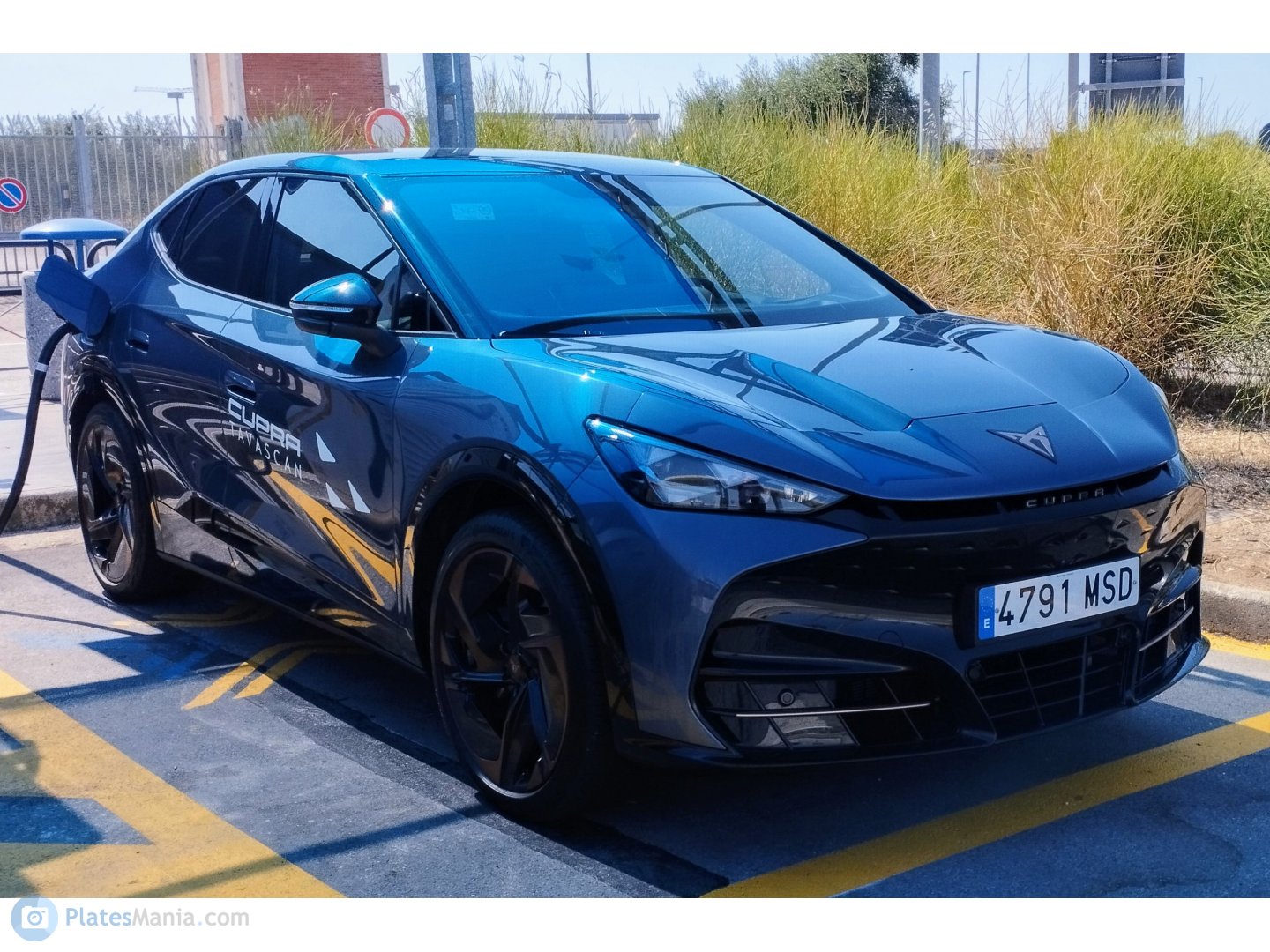 4791 MSD, Cupra Tavascan 1st gen, 2023–