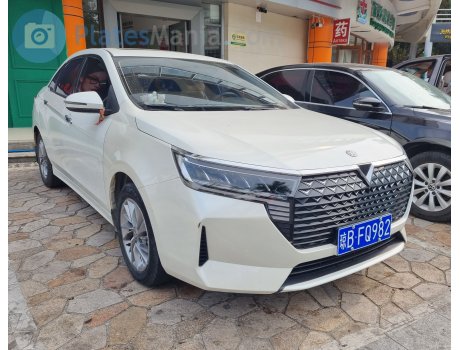 琼B·FQ982, Venucia D60