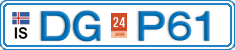 DG P61