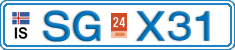 SG X31