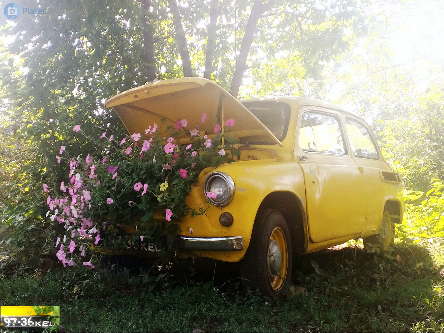 9736 КЕЦ, ZAZ 965 965/965А Запорожец (Zaporozhets), 1959–1969