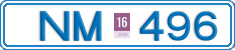 NM 496