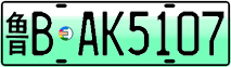 License plate of China, Electric vehicles
