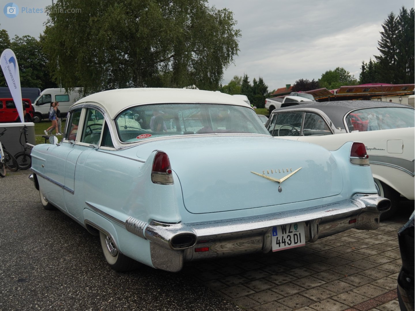 WZ 443 DI, Cadillac Sixty Special 5th gen 1956 (6019; C-body), 2nd facelift, 1955–1956