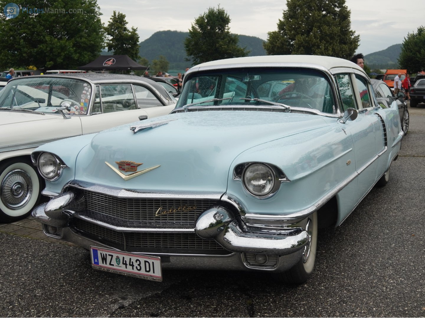WZ 443 DI, Cadillac Sixty Special 5th gen 1956 (6019; C-body), 2nd facelift, 1955–1956